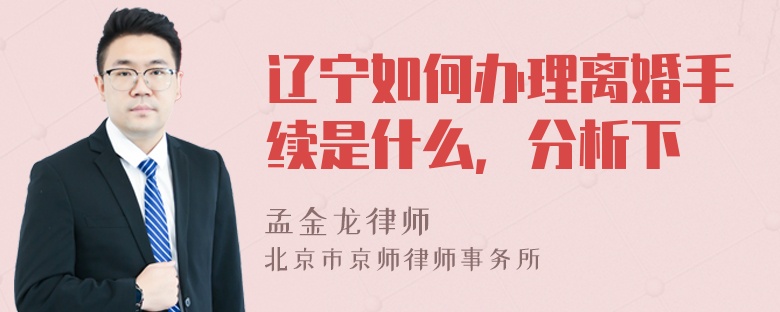 辽宁如何办理离婚手续是什么，分析下