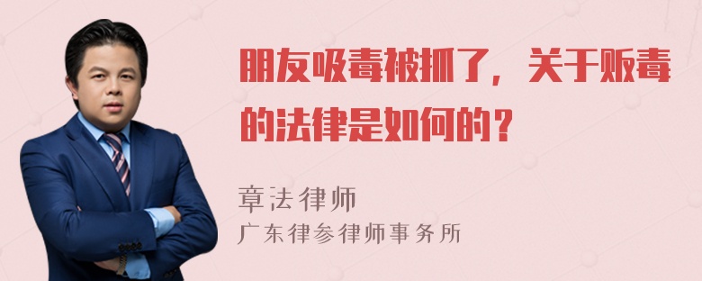 朋友吸毒被抓了，关于贩毒的法律是如何的？