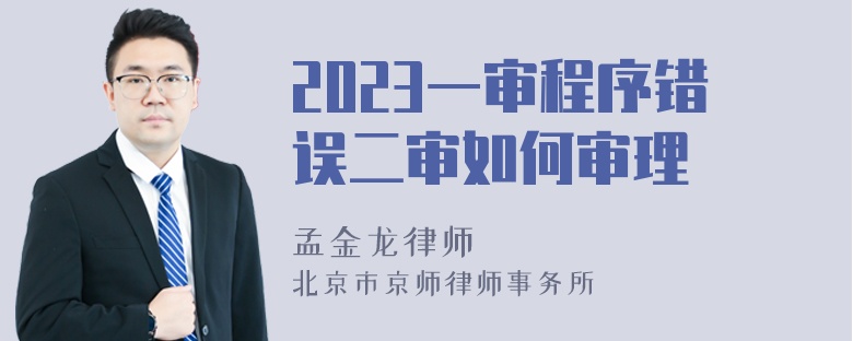 2023一审程序错误二审如何审理