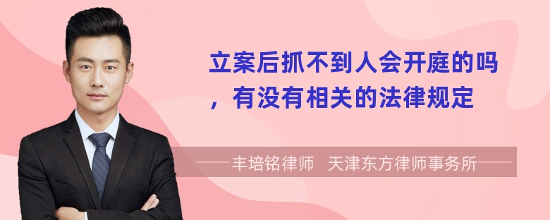 立案后抓不到人会开庭的吗，有没有相关的法律规定