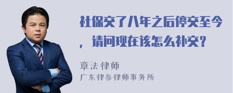 社保交了八年之后停交至今，请问现在该怎么补交？