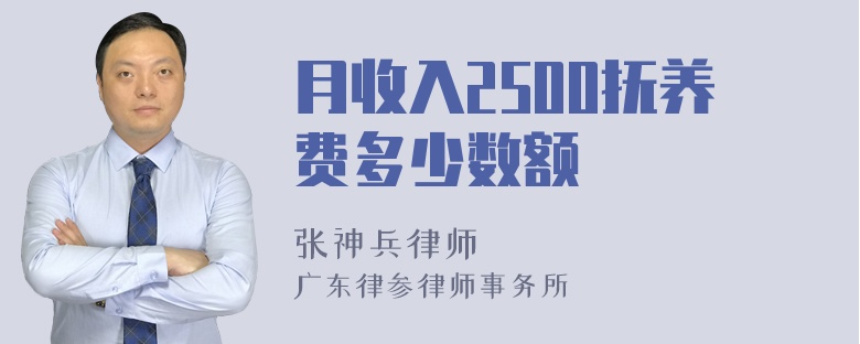 月收入2500抚养费多少数额