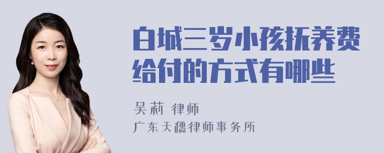 白城三岁小孩抚养费给付的方式有哪些