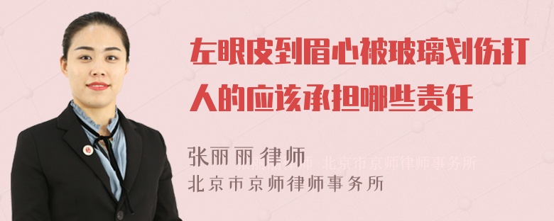 左眼皮到眉心被玻璃划伤打人的应该承担哪些责任