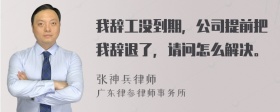 我辞工没到期，公司提前把我辞退了，请问怎么解决。