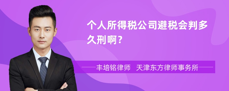 个人所得税公司避税会判多久刑啊？