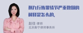 刑九行贿罪情节严重数额的解释是怎么的，