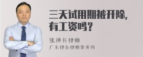 三天试用期被开除，有工资吗？