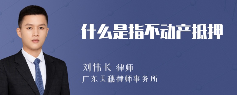 什么是指不动产抵押