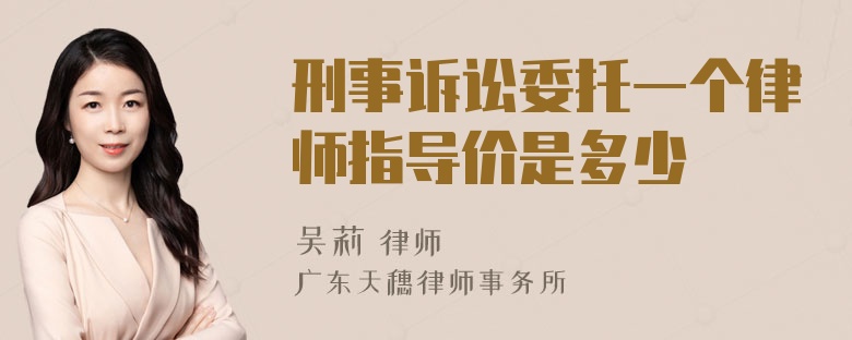 刑事诉讼委托一个律师指导价是多少