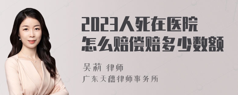 2023人死在医院怎么赔偿赔多少数额