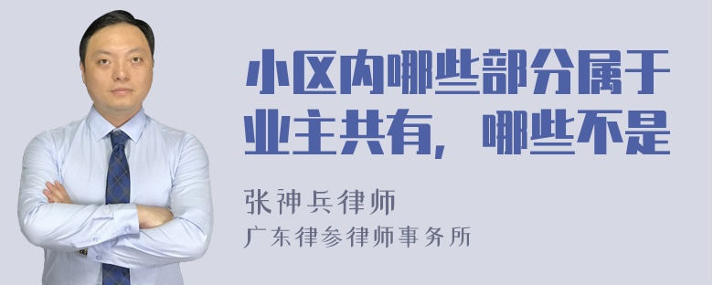 小区内哪些部分属于业主共有，哪些不是