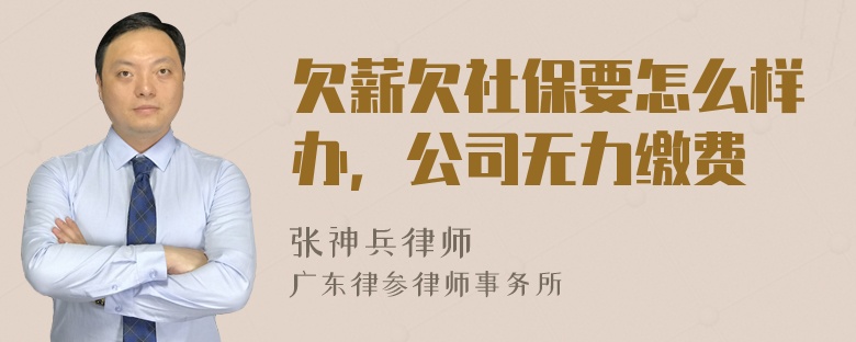 欠薪欠社保要怎么样办，公司无力缴费