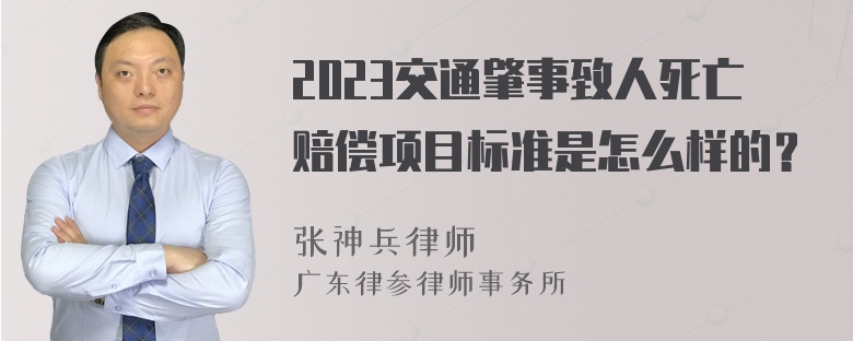 2023交通肇事致人死亡赔偿项目标准是怎么样的？