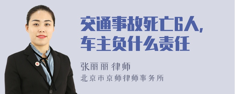 交通事故死亡6人，车主负什么责任