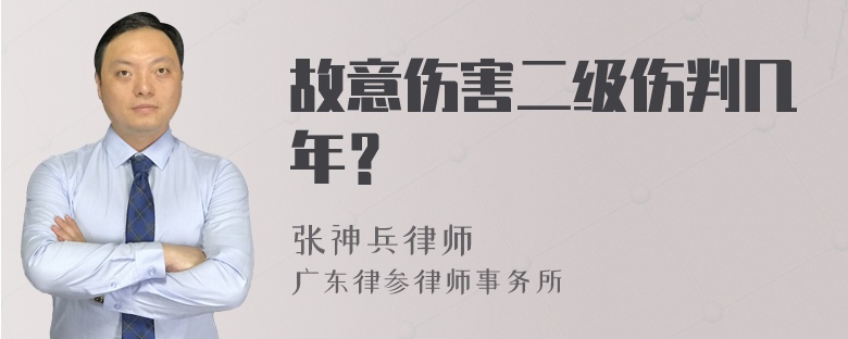 故意伤害二级伤判几年？