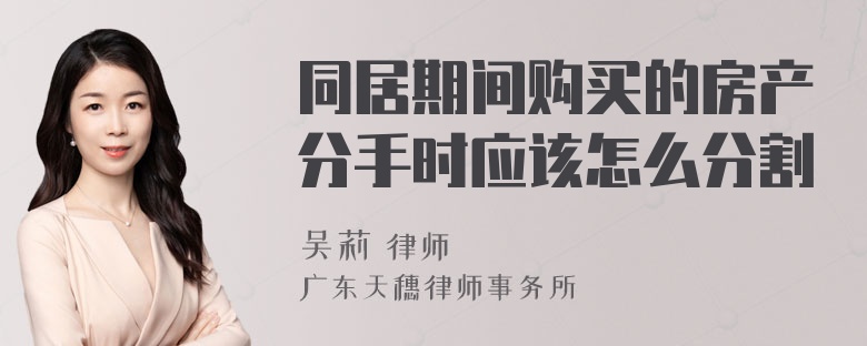 同居期间购买的房产分手时应该怎么分割