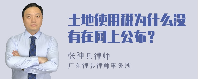 土地使用税为什么没有在网上公布？