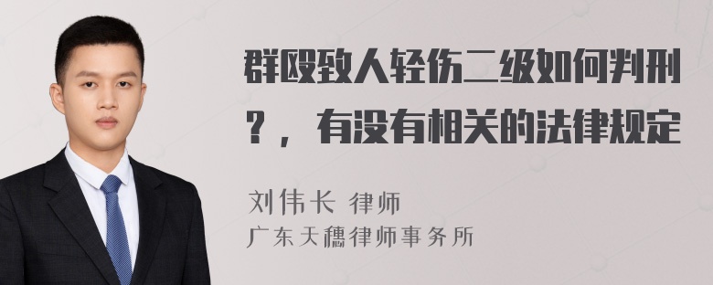 群殴致人轻伤二级如何判刑？，有没有相关的法律规定