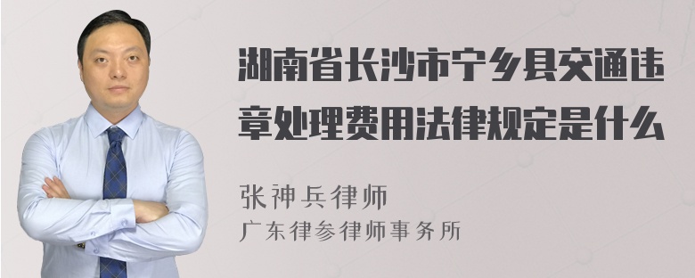 湖南省长沙市宁乡县交通违章处理费用法律规定是什么