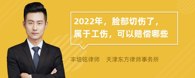 2022年，脸部切伤了，属于工伤，可以赔偿哪些