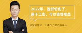 2022年，脸部切伤了，属于工伤，可以赔偿哪些