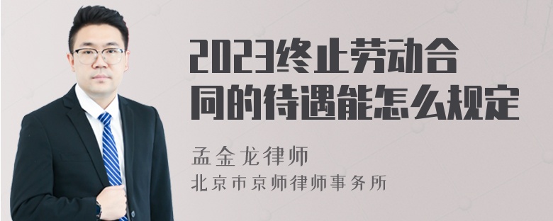 2023终止劳动合同的待遇能怎么规定