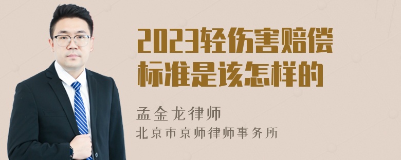 2023轻伤害赔偿标准是该怎样的