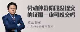 劳动仲裁阶段没提交的证据一审可以交吗