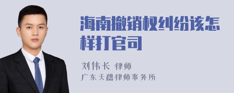 海南撤销权纠纷该怎样打官司