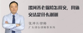 漯河养老保险怎样交，具体交法是什么谢谢