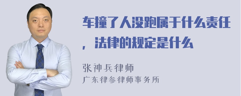 车撞了人没跑属于什么责任，法律的规定是什么