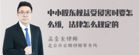 中小股东权益受侵害时要怎么维，法律怎么规定的