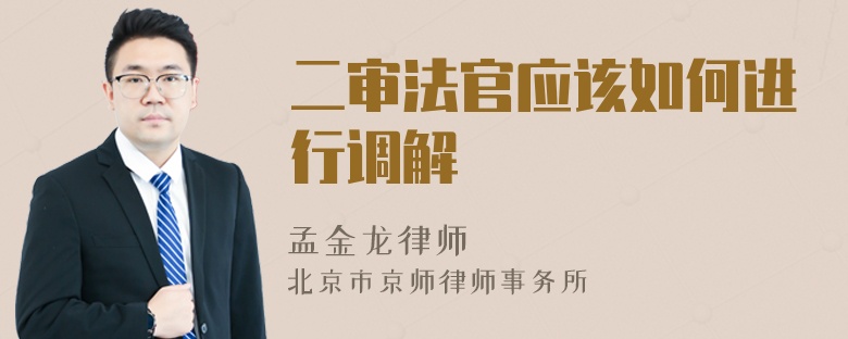 二审法官应该如何进行调解