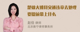 楚雄大姚县交通违章去处理要提前带上什么