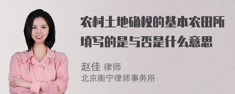 农村土地确权的基本农田所填写的是与否是什么意思