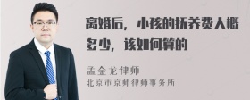 离婚后，小孩的抚养费大概多少，该如何算的