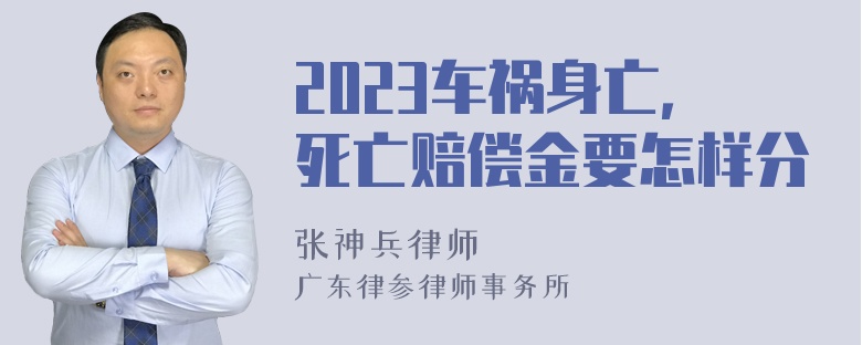 2023车祸身亡，死亡赔偿金要怎样分