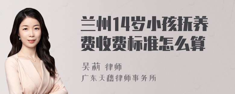 兰州14岁小孩抚养费收费标准怎么算