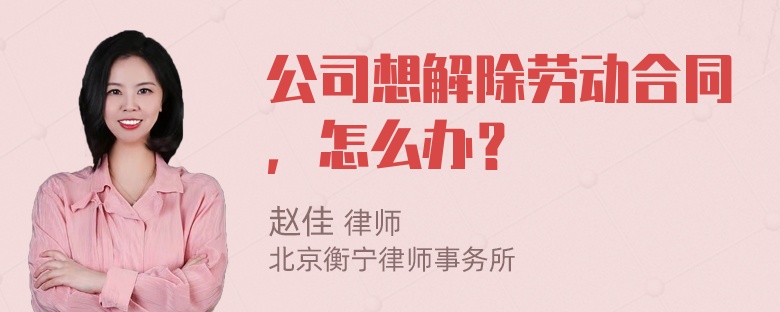 公司想解除劳动合同，怎么办？