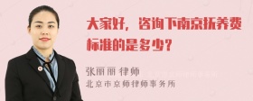 大家好，咨询下南京抚养费标准的是多少？