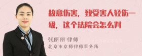 故意伤害，致受害人轻伤一级，这个法院会怎么判