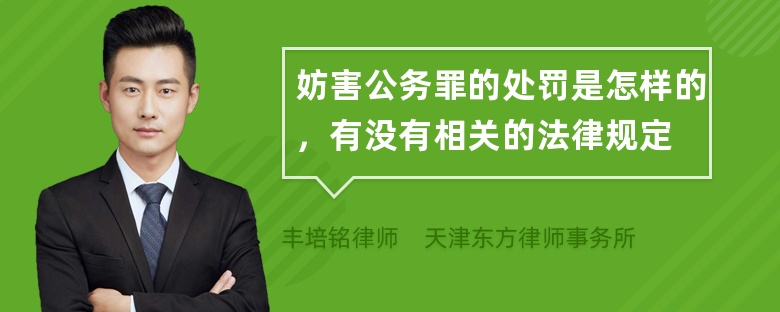 妨害公务罪的处罚是怎样的，有没有相关的法律规定