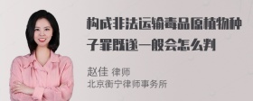 构成非法运输毒品原植物种子罪既遂一般会怎么判