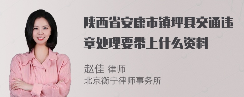 陕西省安康市镇坪县交通违章处理要带上什么资料