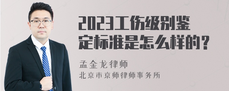 2023工伤级别鉴定标准是怎么样的？