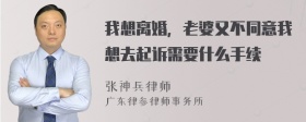 我想离婚，老婆又不同意我想去起诉需要什么手续