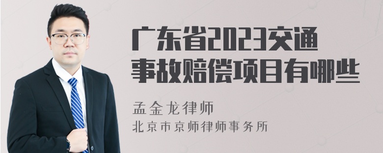 广东省2023交通事故赔偿项目有哪些