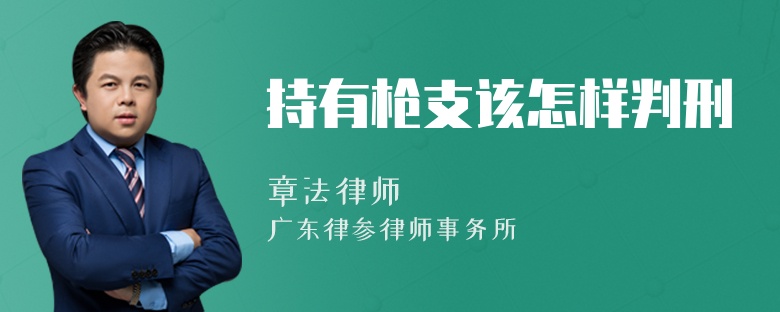 持有枪支该怎样判刑