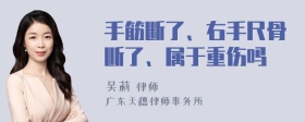 手筋断了、右手尺骨断了、属于重伤吗